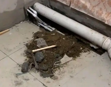 巴东卫生间漏水检测哪家好