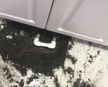 巴东查漏水哪家好
